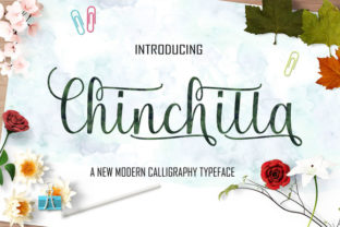 Chinchilla Font Review: Elevating Campaign Visuals