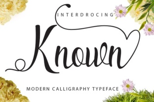 Known by Script Amp: A Designer's Honest Review