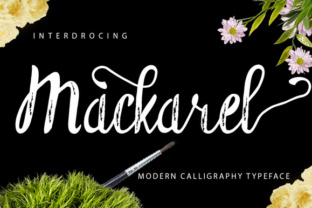 Mackarel Font: A Web Designer’s Guide to Script Amp