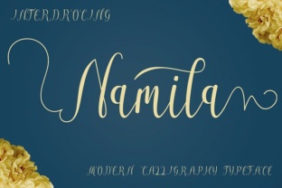 Namila: A Handwritten Font for Modern Web Design