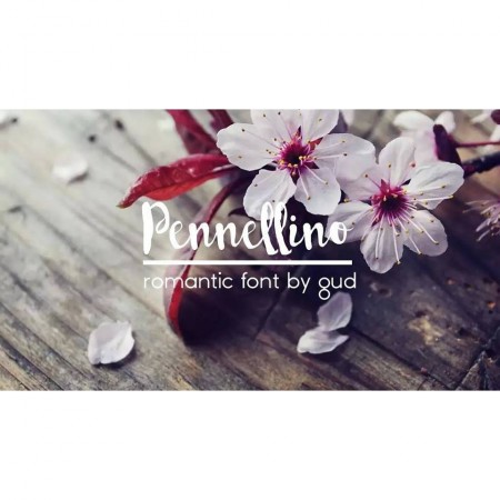 Pennellino: The Brush Typeface for Bold Marketing