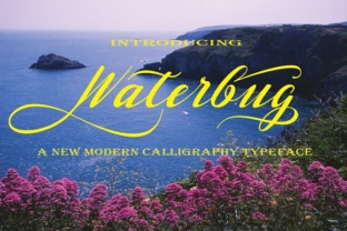Waterbug: A Handwritten Font for Authentic Branding